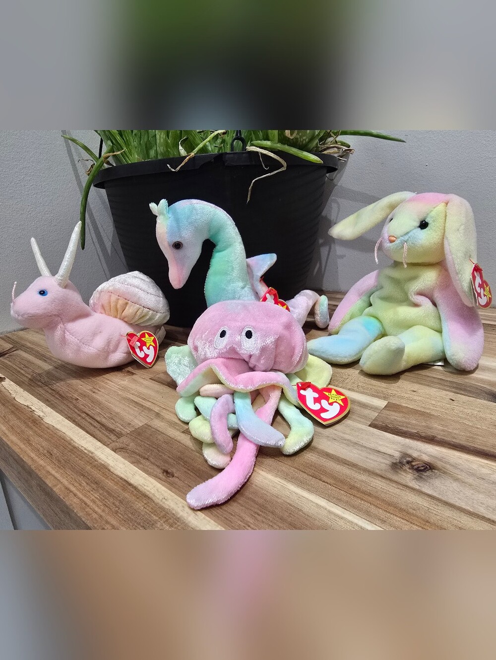 Ty Beanie Babies  Pastel Rainbow Set